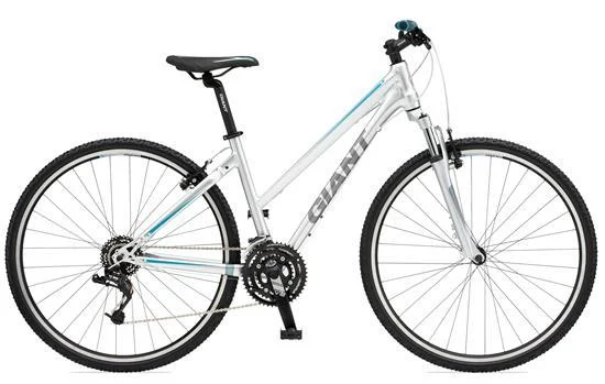 2011 Giant Roam 2 W