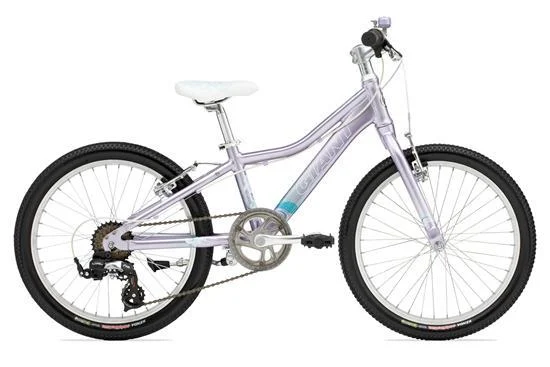 2011 Giant Areva 20
