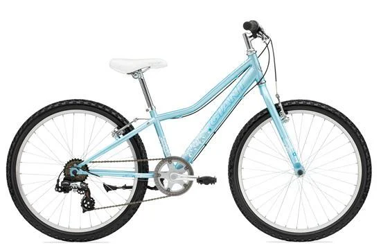 2011 Giant Boulder Jr W