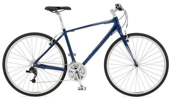 2011 Giant Escape 1