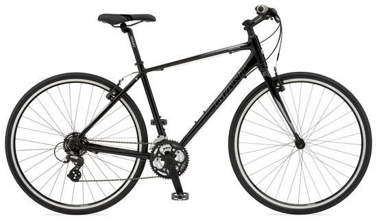 2011 Giant Escape 2