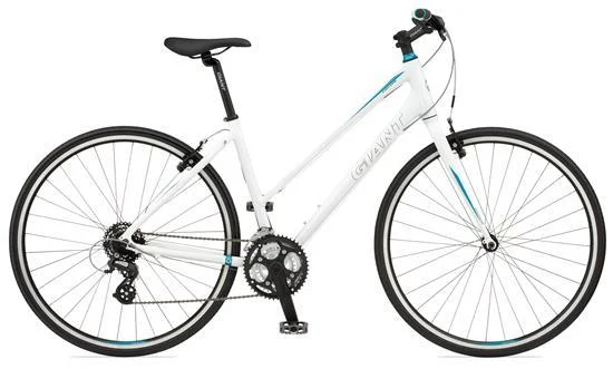 2011 Giant Escape 2 W