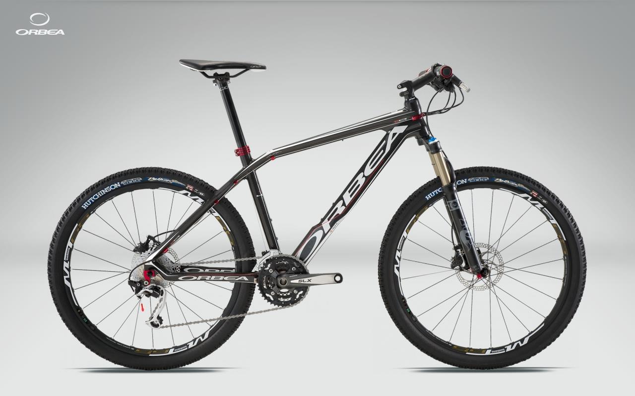 2011 Orbea Alma S30