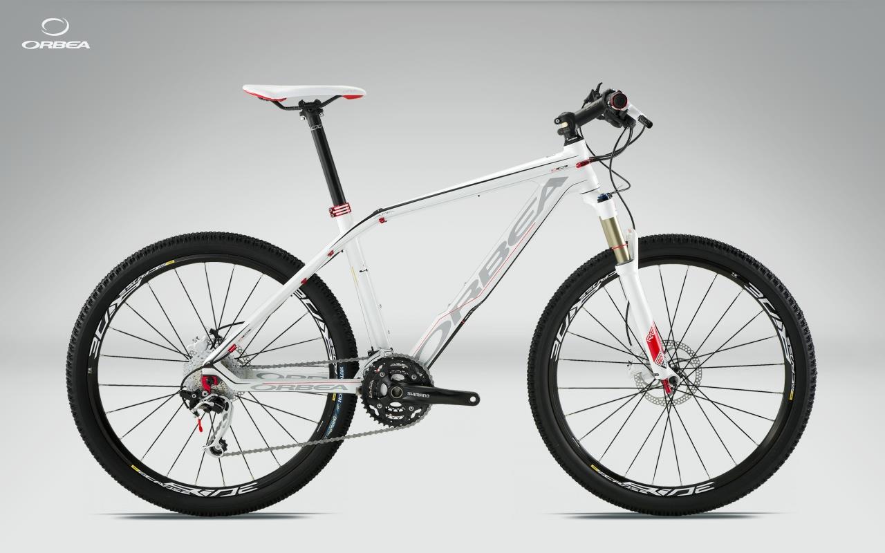 2011 Orbea Alma S50