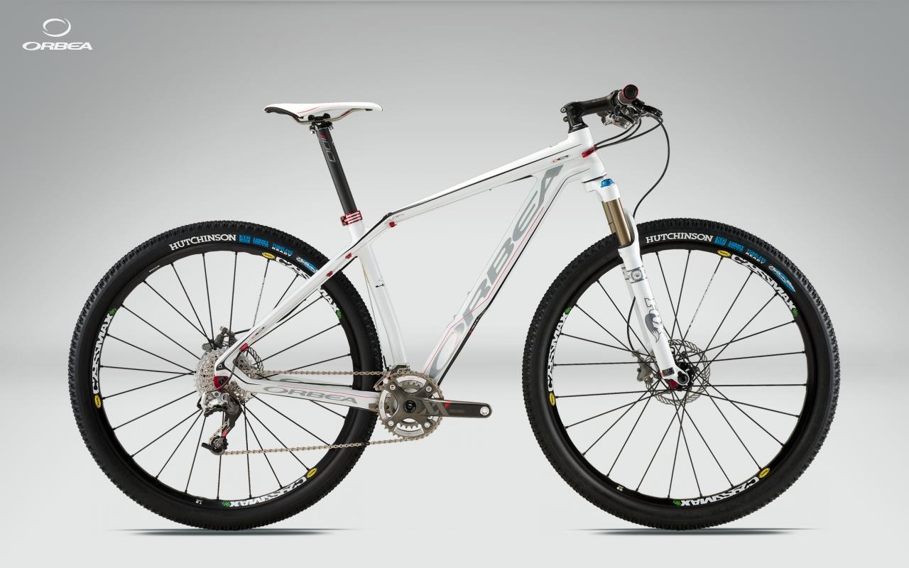 2011 Orbea Alma 29er S Team