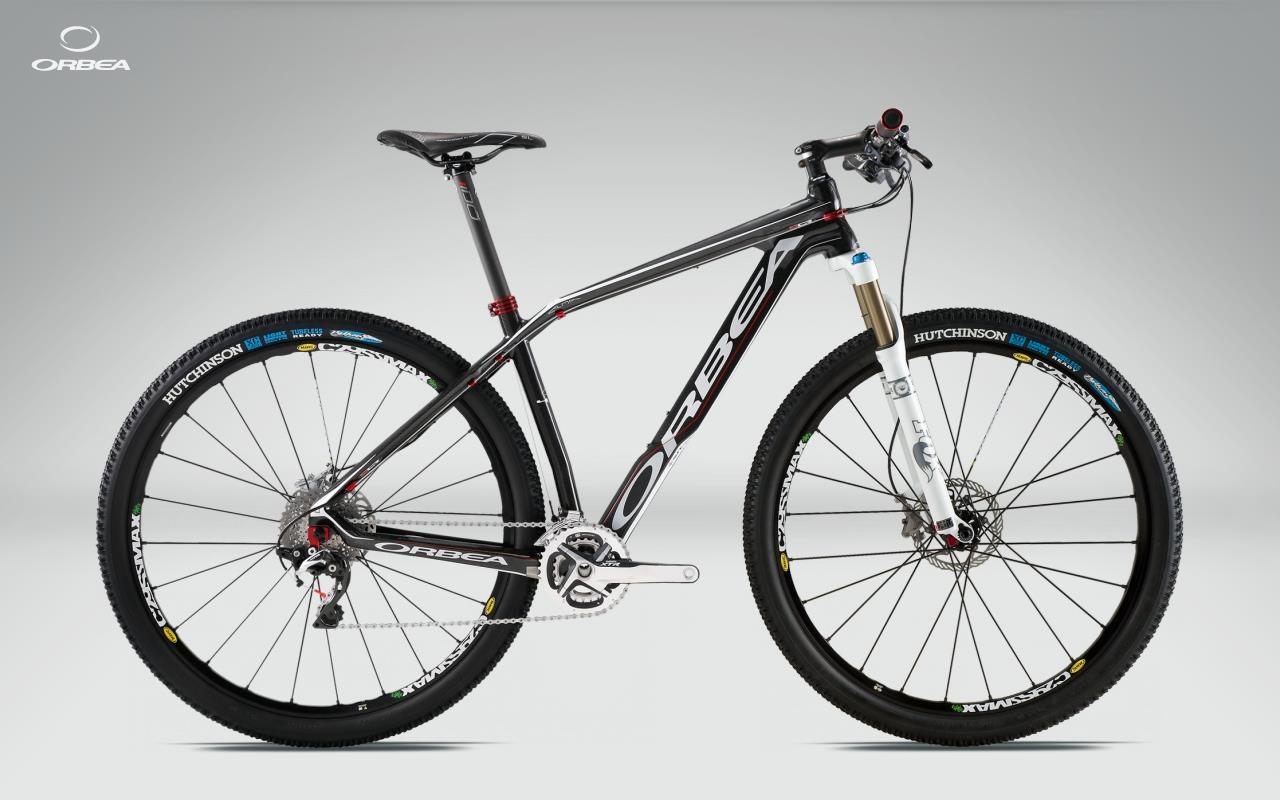 2011 Orbea Alma 29er S10