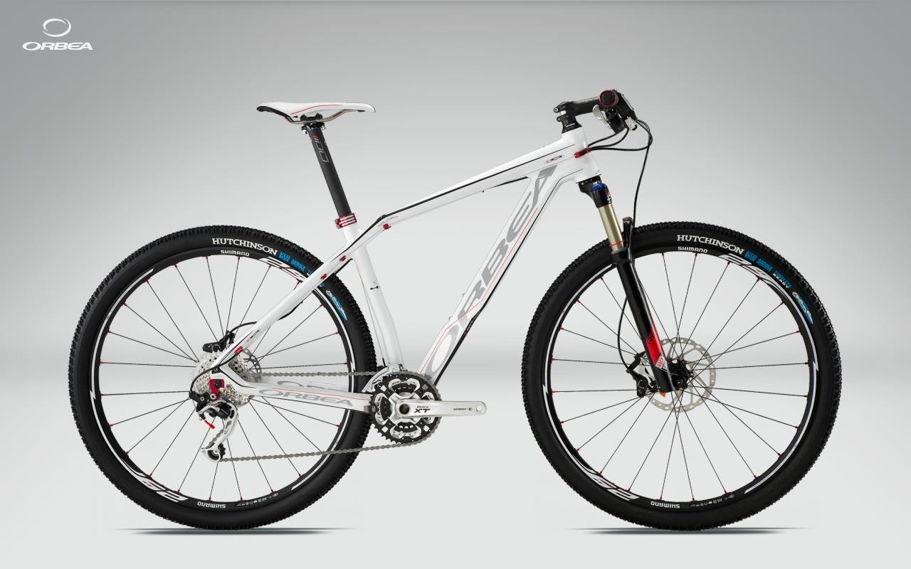 2011 Orbea Alma 29er S30