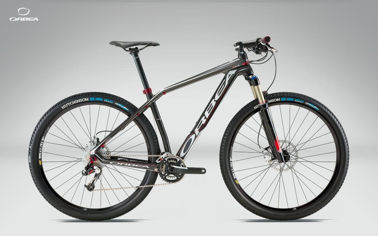 2011 Orbea Alma 29er S50