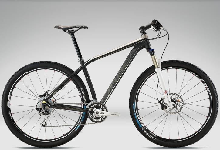 2011 Orbea Alma 29er H10