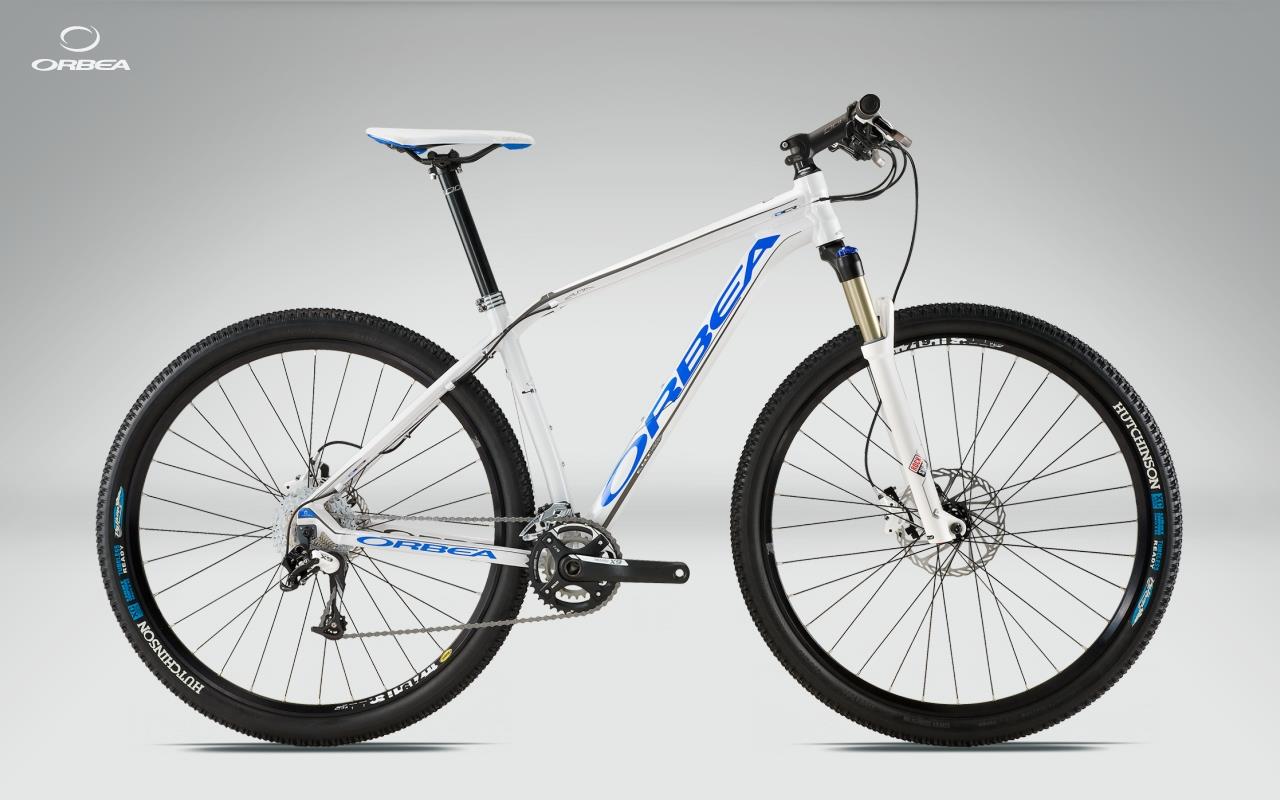 2011 Orbea Alma 29er H30