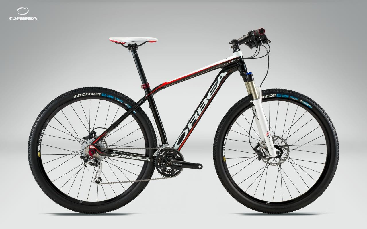 2011 Orbea Alma 29er H50