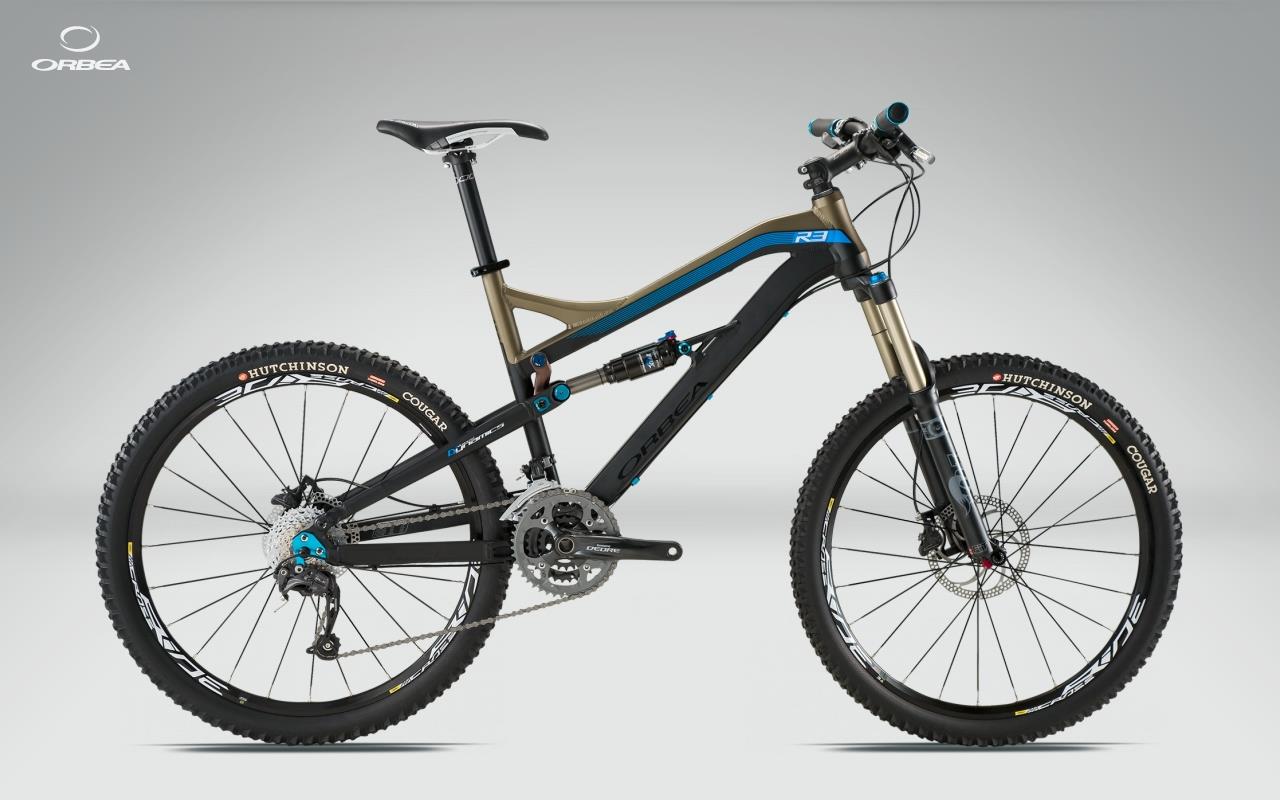 2011 Orbea Rallon 50