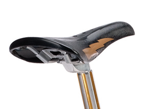 2011 SE Racing PK Ripper Looptail