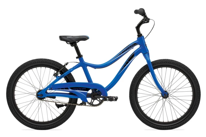 2011 Giant Moda