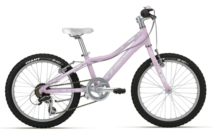 2012 Giant Areva 20