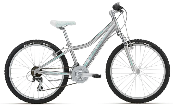 2012 Giant Areva 24