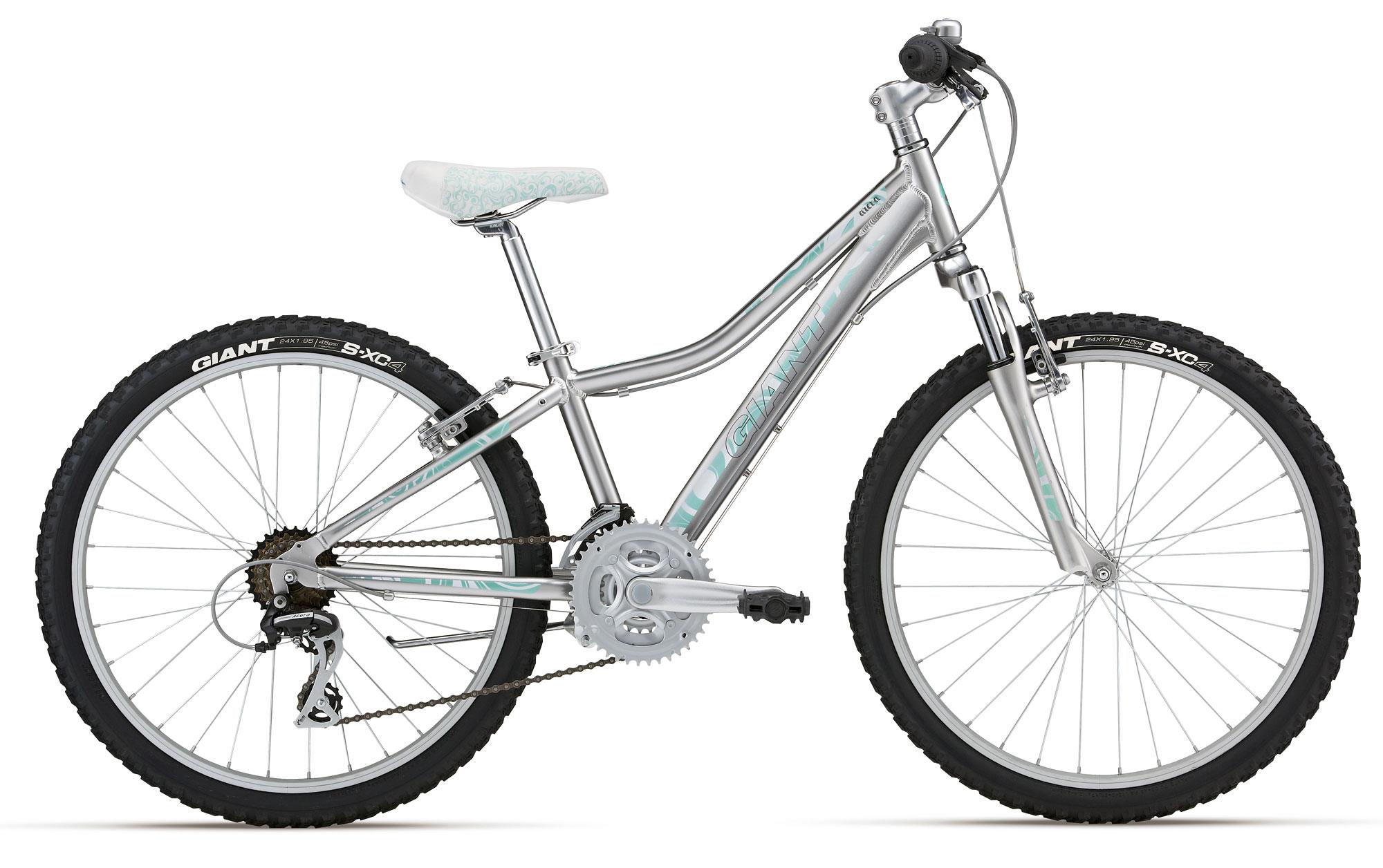 2012 Giant Areva 24