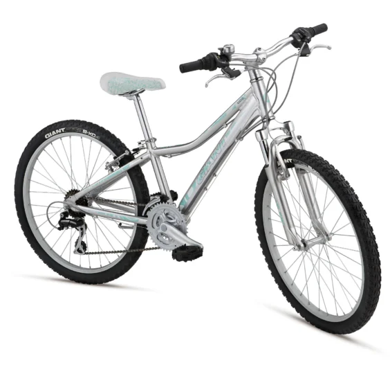 2012 Giant Areva 24
