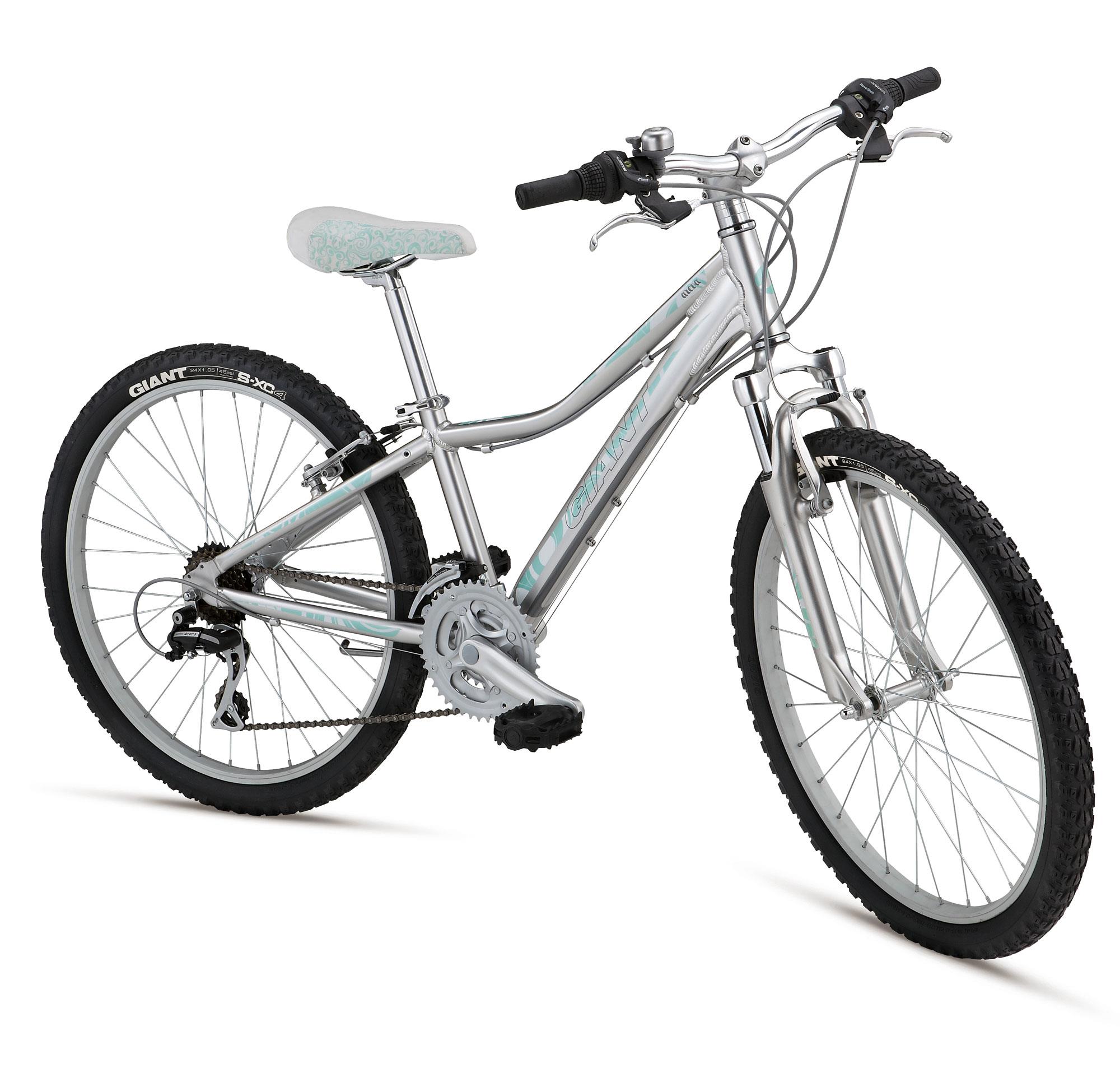 2012 Giant Areva 24