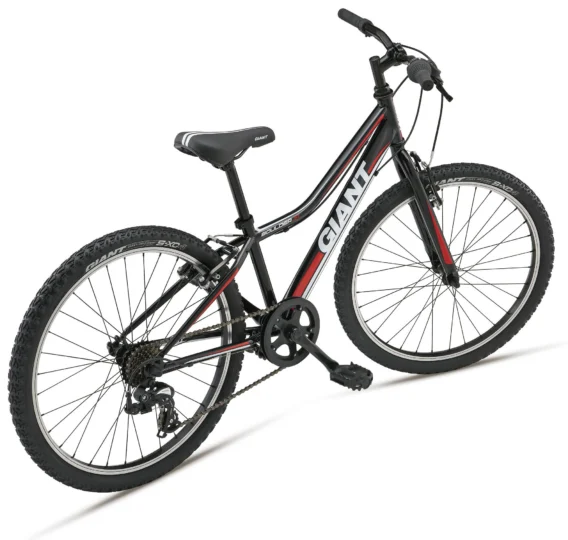 2012 Giant Boulder Jr.