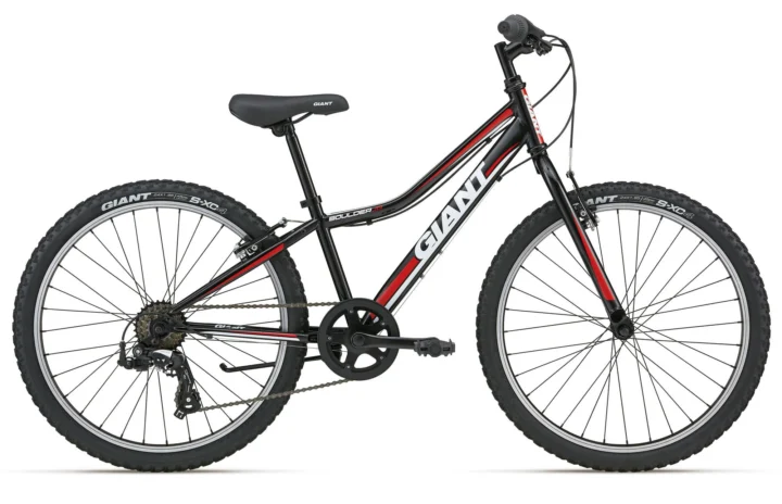 2012 Giant Boulder Jr.