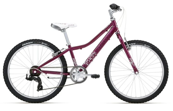 2012 Giant Boulder Jr. Womens
