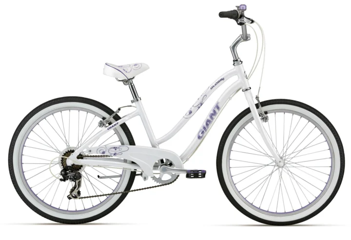 2012 Giant Gloss