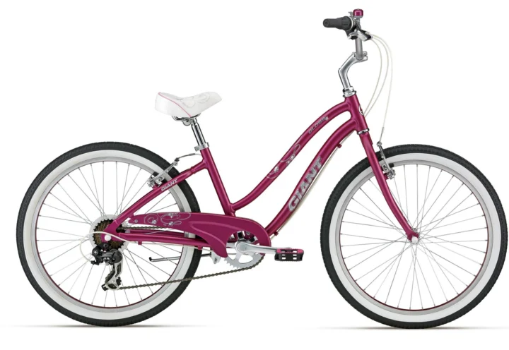 2012 Giant Gloss