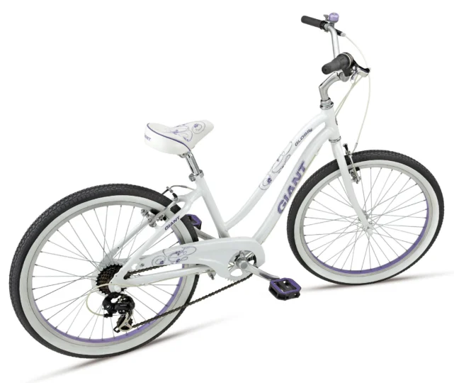 2012 Giant Gloss