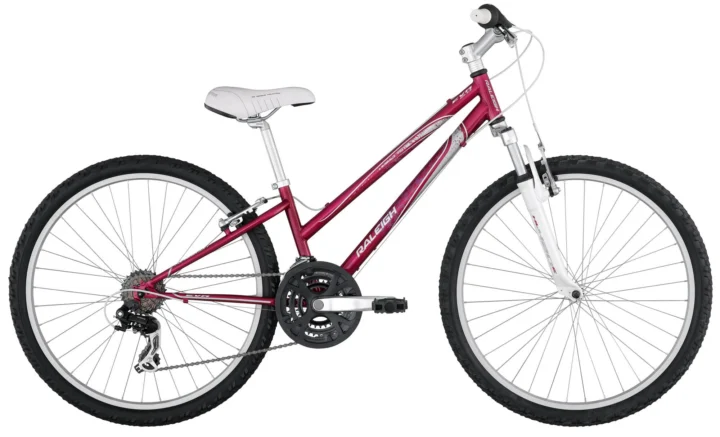 2012 Raleigh Eva 2.0