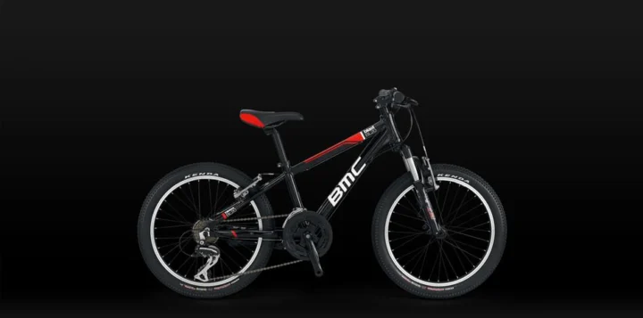 2012 BMC BL20 Standard