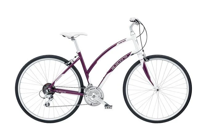 2012 Electra Verse 24D