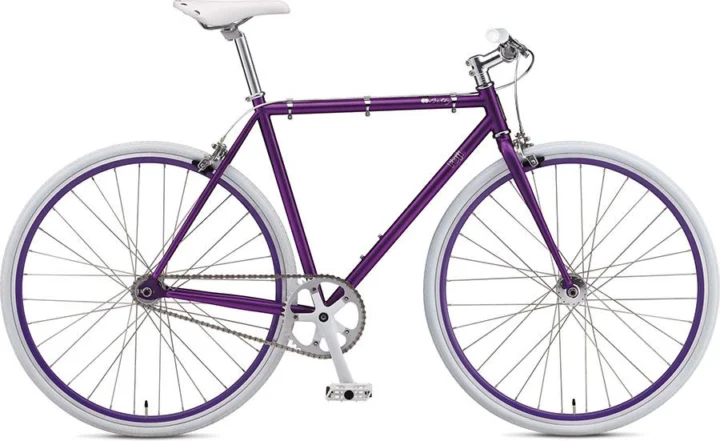 2012 Fuji Betsy