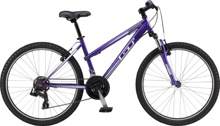 2012 GT Palomar W