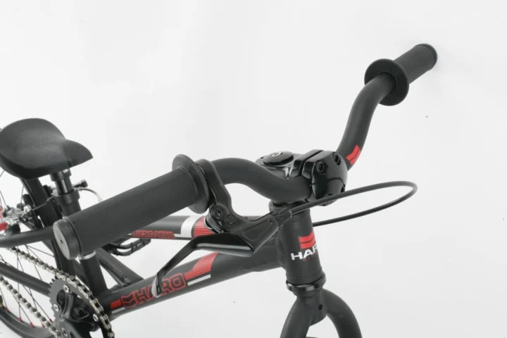 2012 Haro Micro Mini