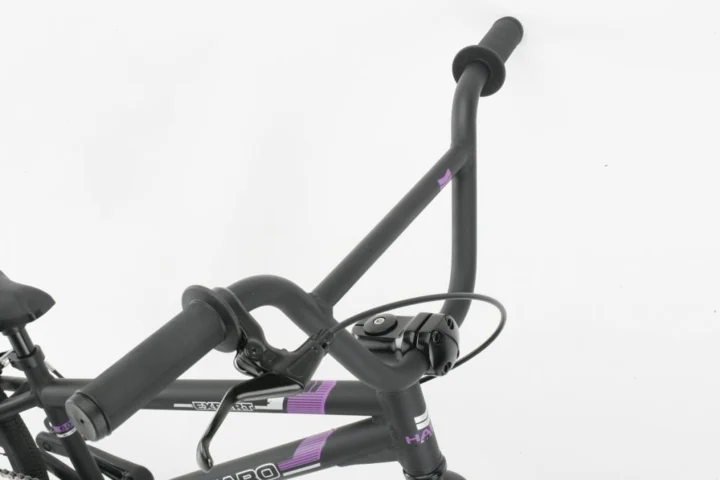 2012 Haro Expert