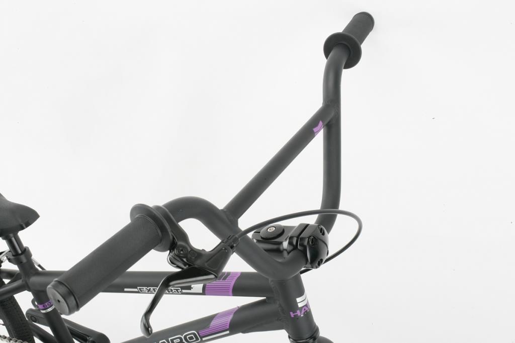 2012 Haro Expert