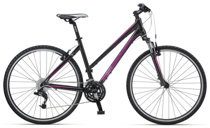 2012 Giant Roam 2 W