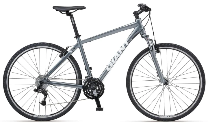 2012 Giant Roam 2