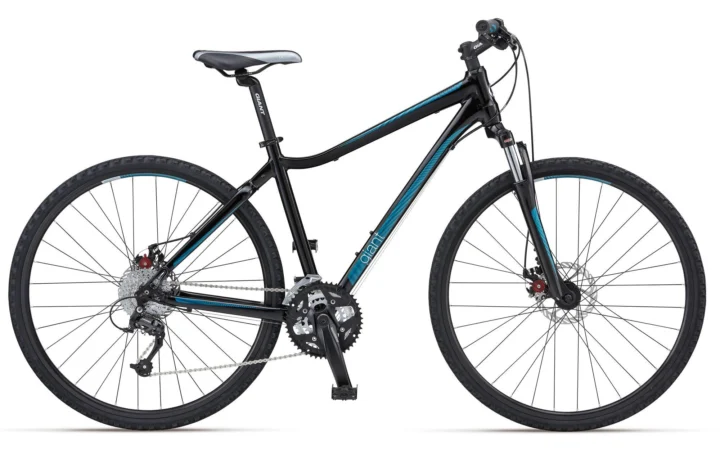 2012 Giant Roam 1 W