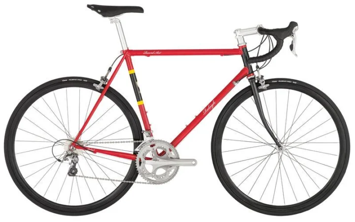 2012 Raleigh Record Ace