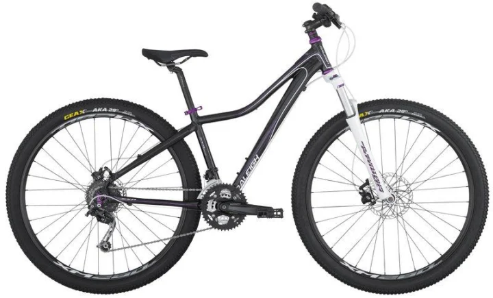 2012 Raleigh Eva 29 Comp