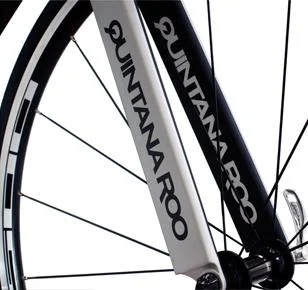 2012 Quintana Roo Seduza