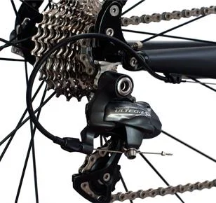 2012 Quintana Roo Seduza