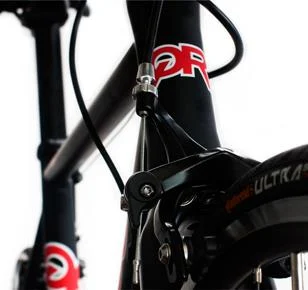 2012 Quintana Roo Kilo