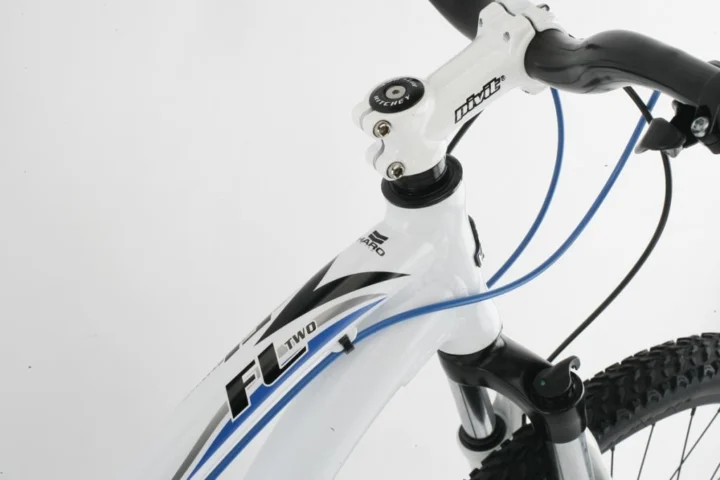 2012 Haro Flightline Two