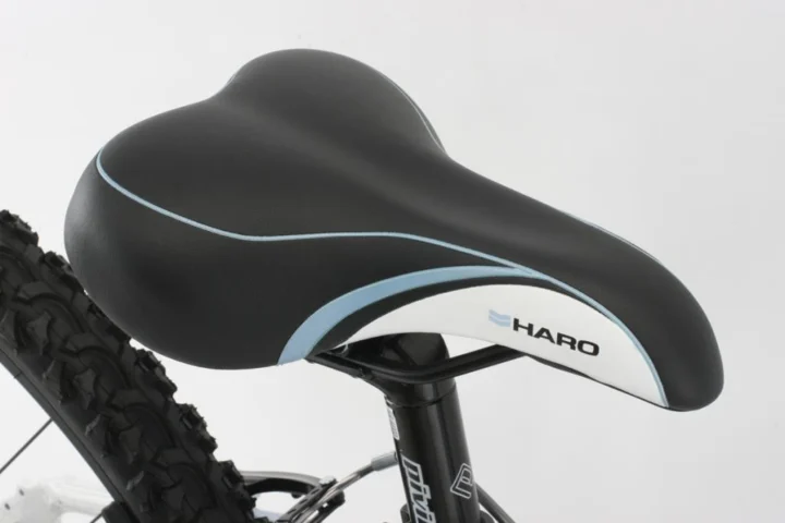 2012 Haro Flightline 24