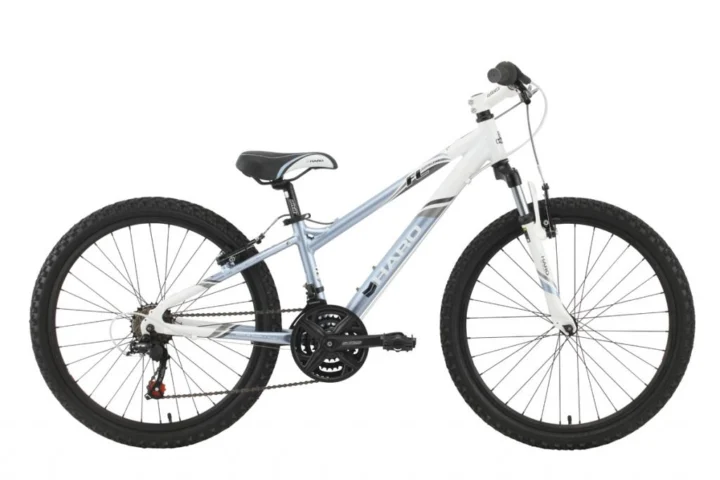2012 Haro Flightline 24