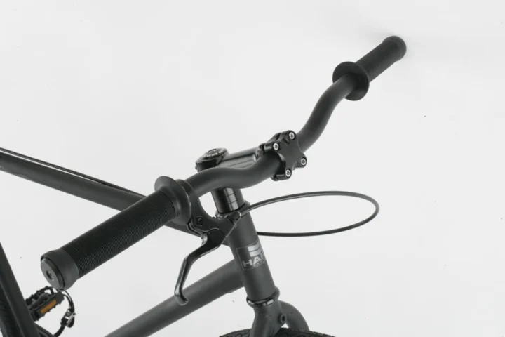 2012 Haro Projekt