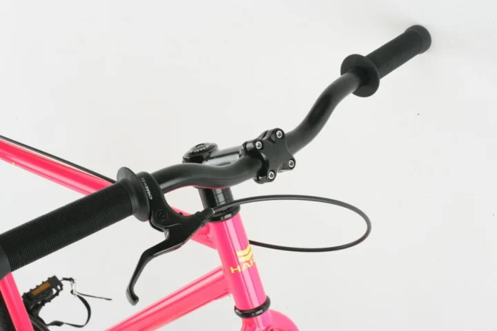 2012 Haro Projekt